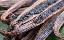 Sweet Aromatic Notes