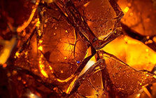 Amber