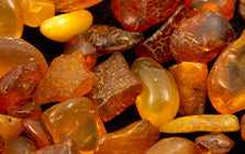 Woody Amber Base