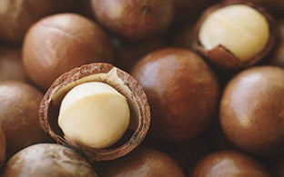 Shea Butter