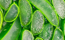 Aloe vera gel