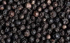 Black Pepper