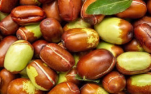 Jojoba Oil
