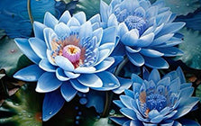 Lotus Blue