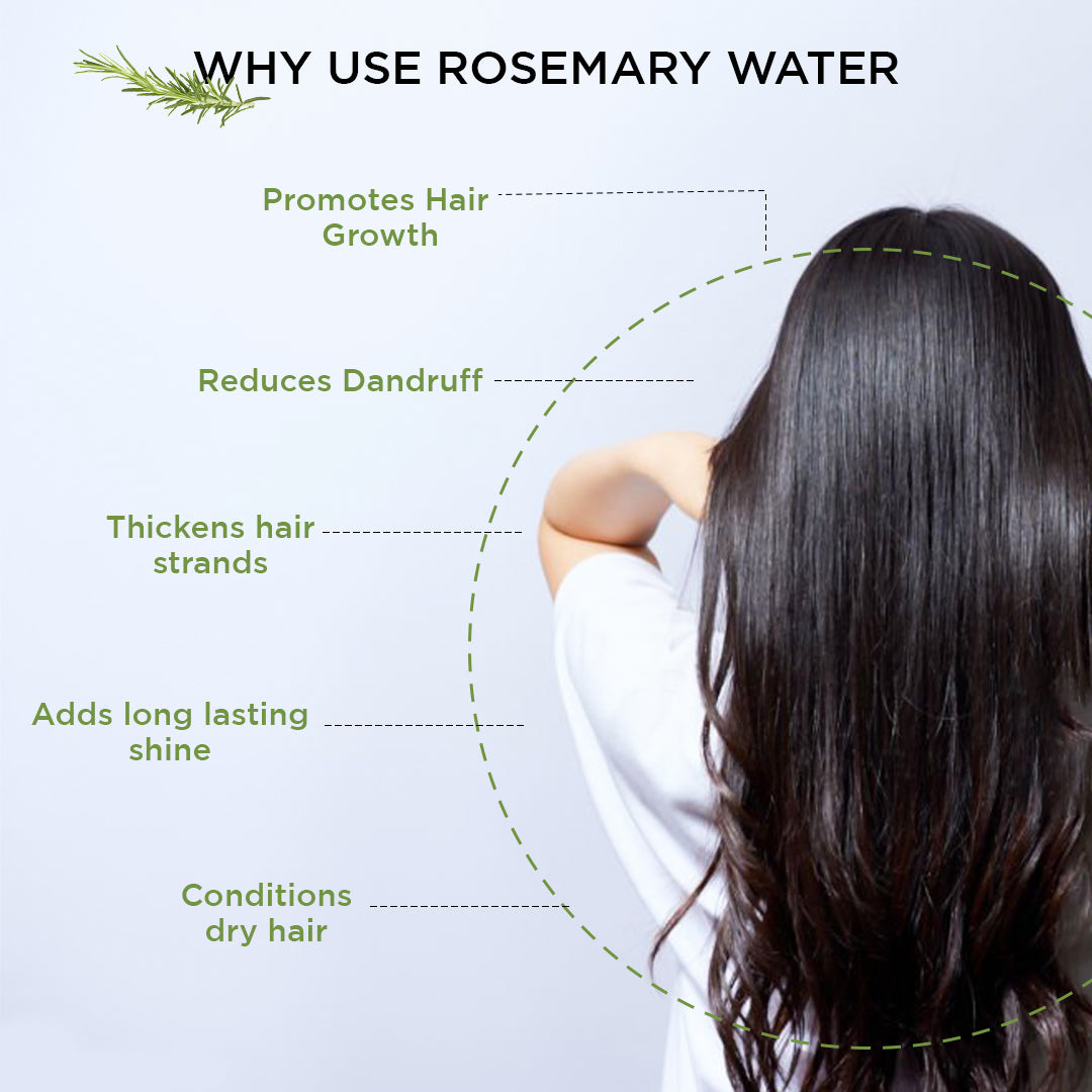 Rosemary Water Spray 100ml | Hair Growth & Anti Hair Fall Spray