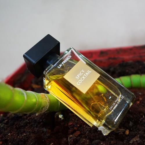 Spicy Cocktail Eau de Parfum | Long Lasting Spicy Oriental Fragrance | Premium Perfume for Men & Women | Bold & Luxurious Scent